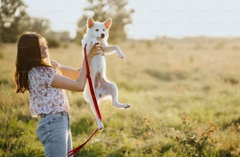 Fabulous Advantages of Prepping Your Pets